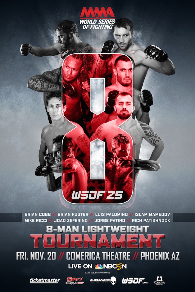 WSOF 25